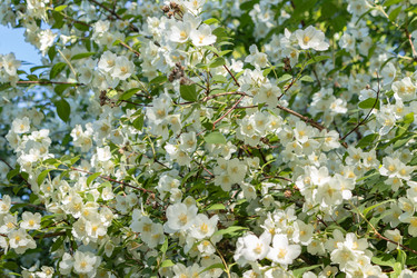 Similar image 21120453