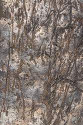 Similar image 21120459