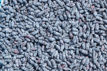 Similar image 21120461