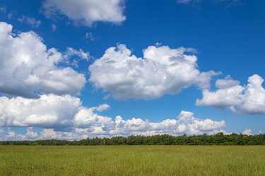 Similar image 21120462