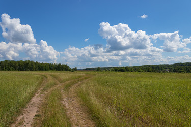 Similar image 21120466