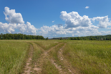 Similar image 21120468