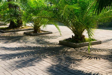 Similar image 21112399