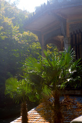 Similar image 21112400