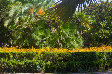 Similar image 21112401