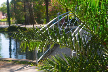 Similar image 21083679