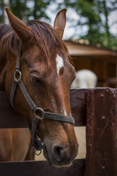 Similar image 21116767