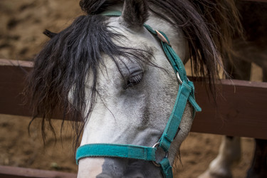 Similar image 21116769