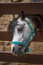 Similar image 21116771