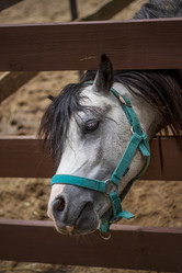 Similar image 21090579