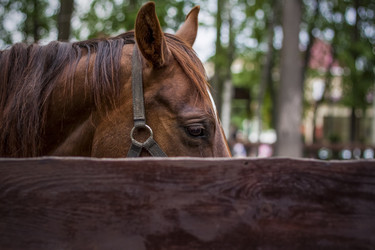 Similar image 21090580