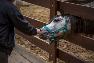 Similar image 21090581