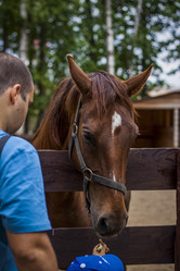 Similar image 21118779