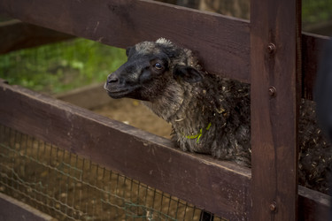 Similar image 21090582