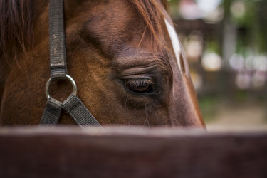 Similar image 21118818