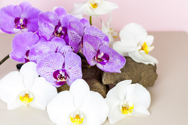 Similar image 21118827