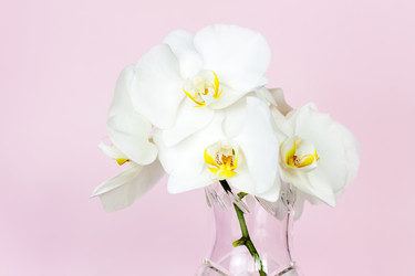 Similar image 21118828