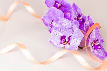 Similar image 21090587