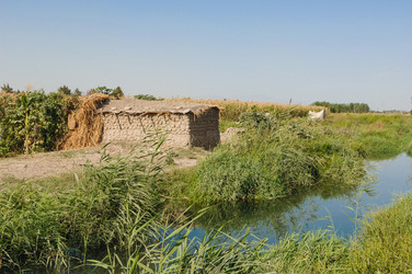 Similar image 21106803