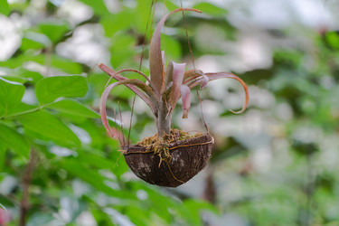 Similar image 21106809