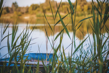 Similar image 21090594