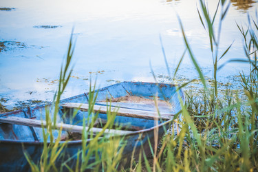 Similar image 21090596