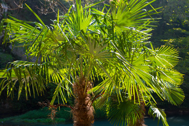 Similar image 21112402