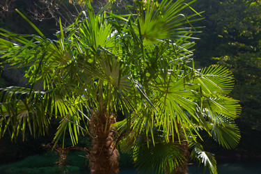 Similar image 21112403