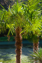 Similar image 21112404