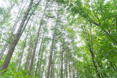 Similar image 21105461