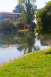 Similar image 21083682