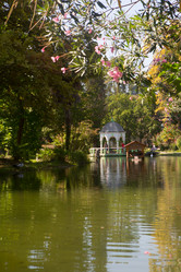 Similar image 21083684