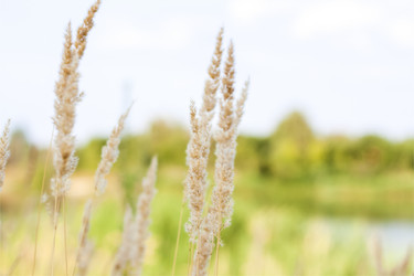 Similar image 21090519