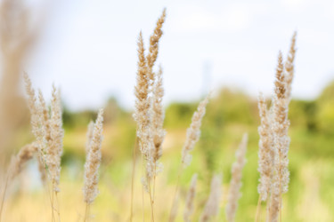 Similar image 21090521