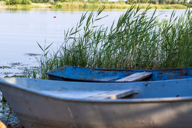 Similar image 21090522