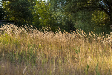 Similar image 21090598