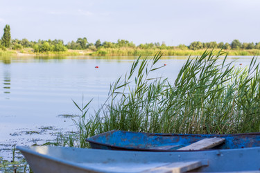 Similar image 21090599