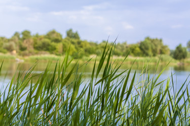 Similar image 21090600