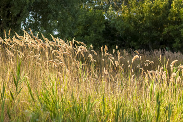 Similar image 21090603