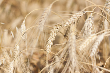 Similar image 21090604