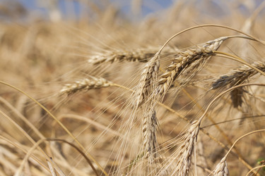 Similar image 21090605