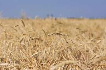 Similar image 21090608