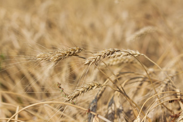 Similar image 21090609