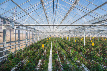 Similar image 21105501