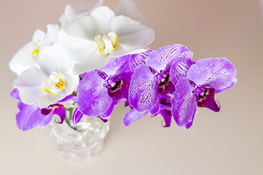 Similar image 21116830