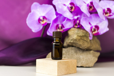 Similar image 21090526