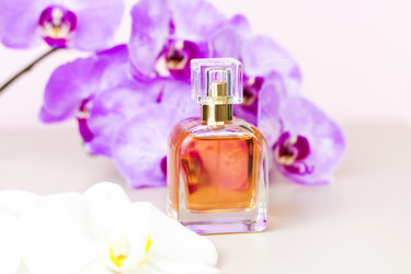 Similar image 21090530