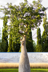 Similar image 21090531