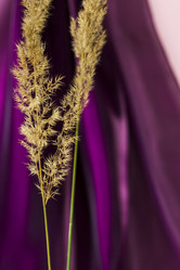 Similar image 21113224