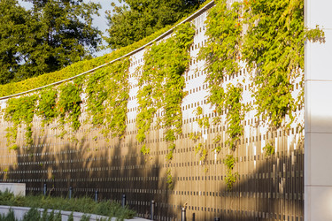 Similar image 21116841